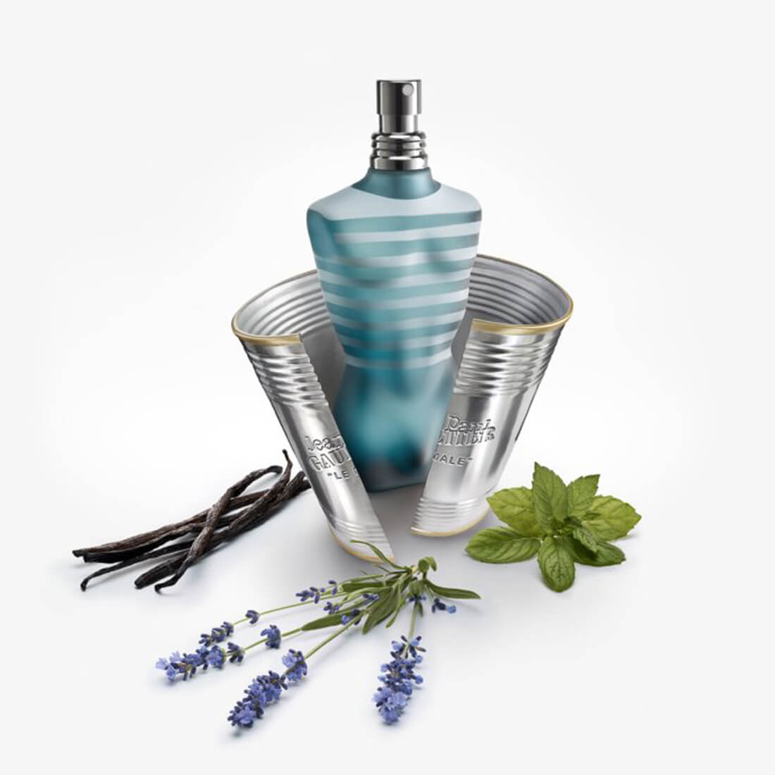 Le Male EDT (M)